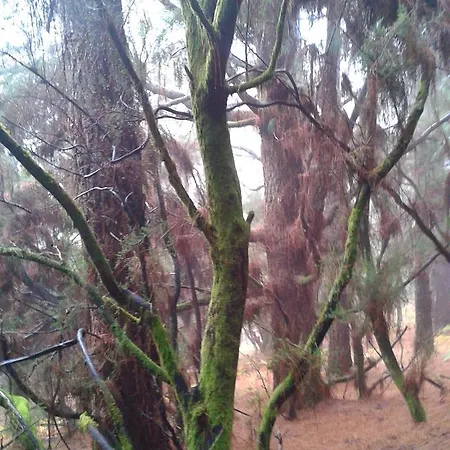 Finca La Morera Lejlighed *